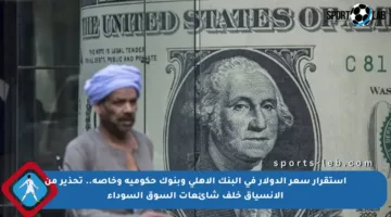 استقرار سعر الدولار في البنك الأهلي وبنوك حكومية وخاصة.. تحذير من الانسياق خلف شائعات السوق السوداء